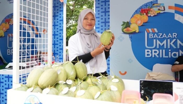 Desa Bansari di Jateng Sukses Kembangkan Melon Premium Berteknologi Hidroponik