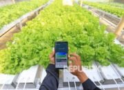 Platform Akademi Desa Dorong Literasi Digital untuk Wujudkan Desa Cerdas