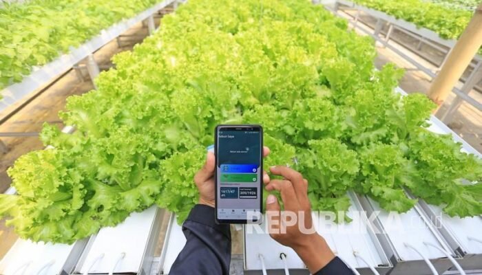 Platform Akademi Desa Dorong Literasi Digital untuk Wujudkan Desa Cerdas