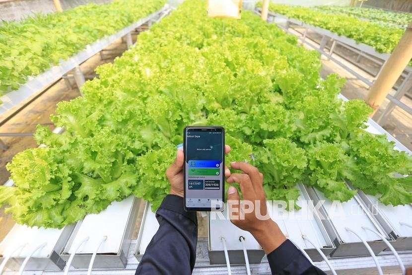 Ilustrasi warga desa memanfaatkan perangkat digital untuk merekam proses pertanian. (Foto : Republika)
